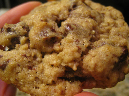 Chocolate chip cookie