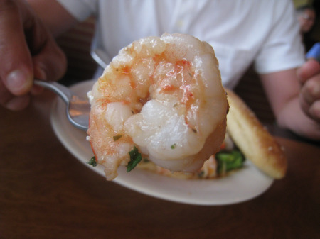 Shrimp