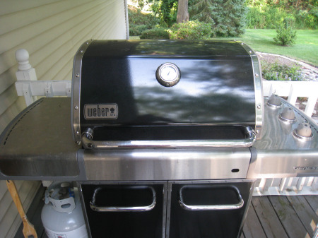 Weber Grill