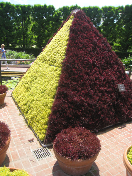 triangle garden