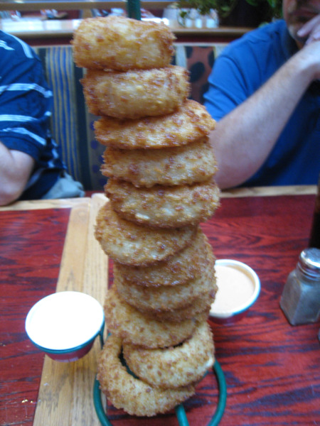 8.8 onion rings