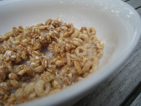 Kashi cereal bowl