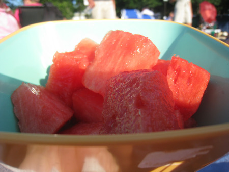 Picnic watermelon2