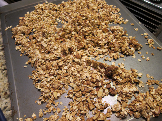 12.1 homemade granola 1