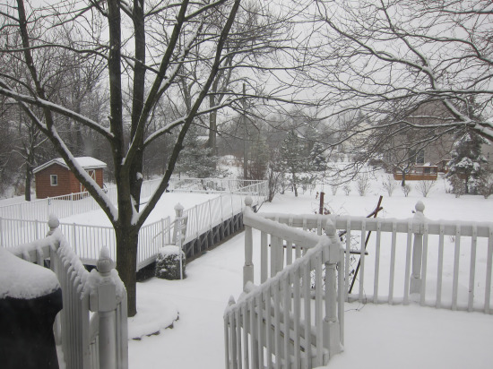 12.22 snowy backyard1