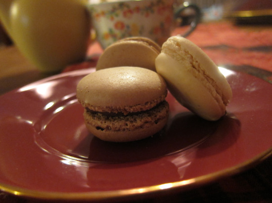 1.5.10 French Macaron 2